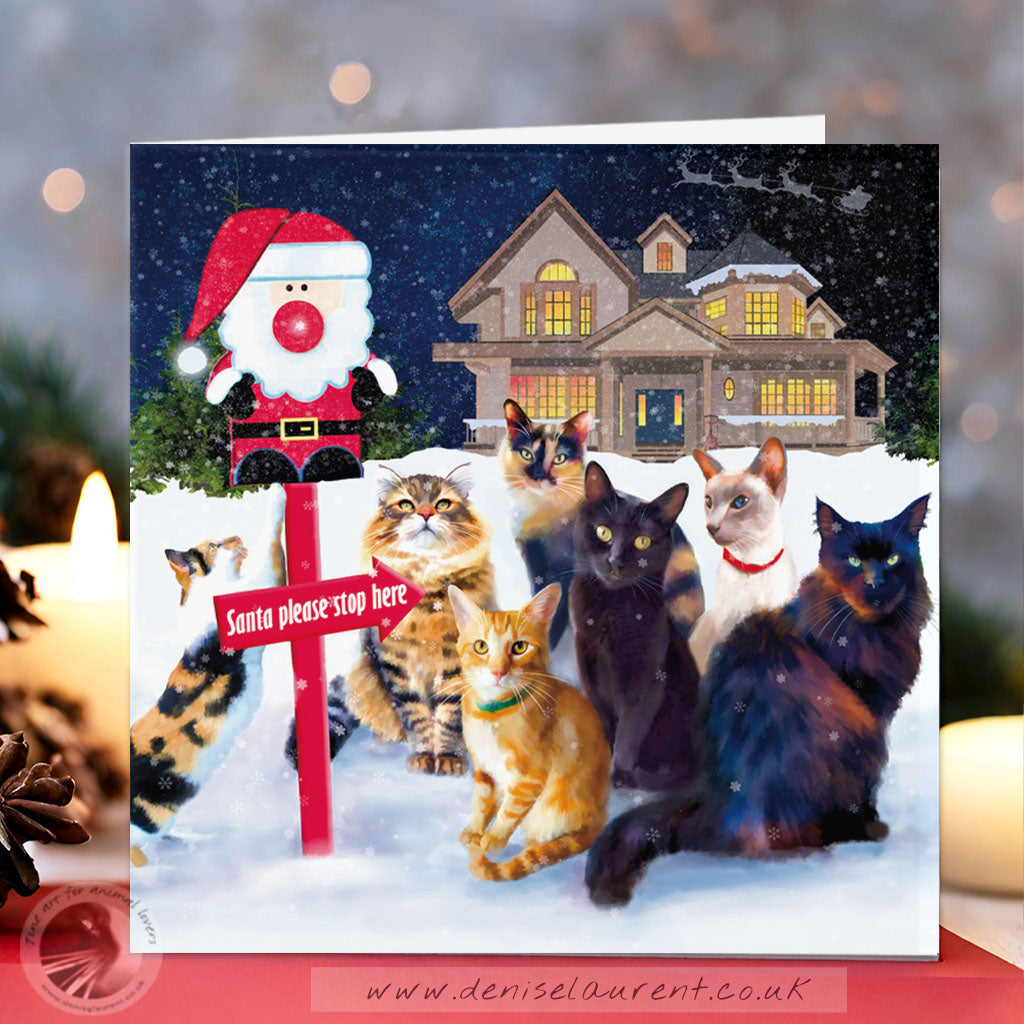 This Way Santa - Cat Christmas Card