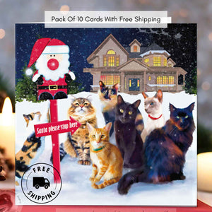 This Way Santa - Cat Christmas Card