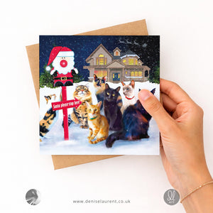 Mixed Pack Of 10 Christmas Cards