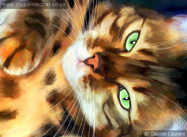 Bengal Babe Cat Print