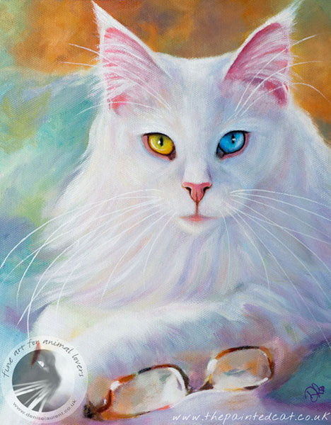 Reading Glasses  - Sold