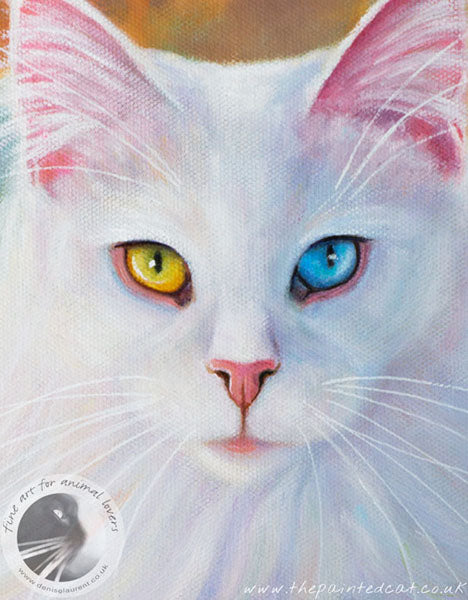 Reading Glasses  - Sold