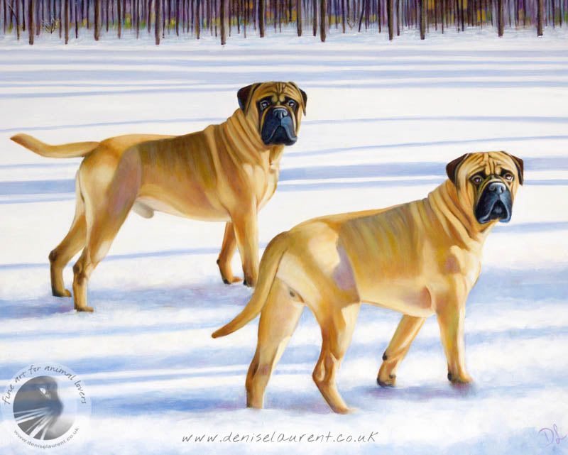 Liam and Truman In The Snow