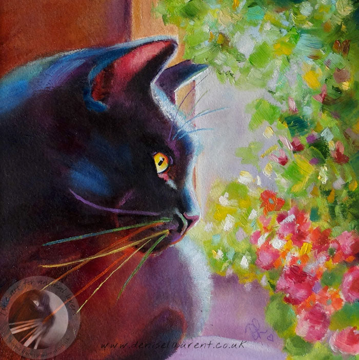 Harry In The Window  - Sold