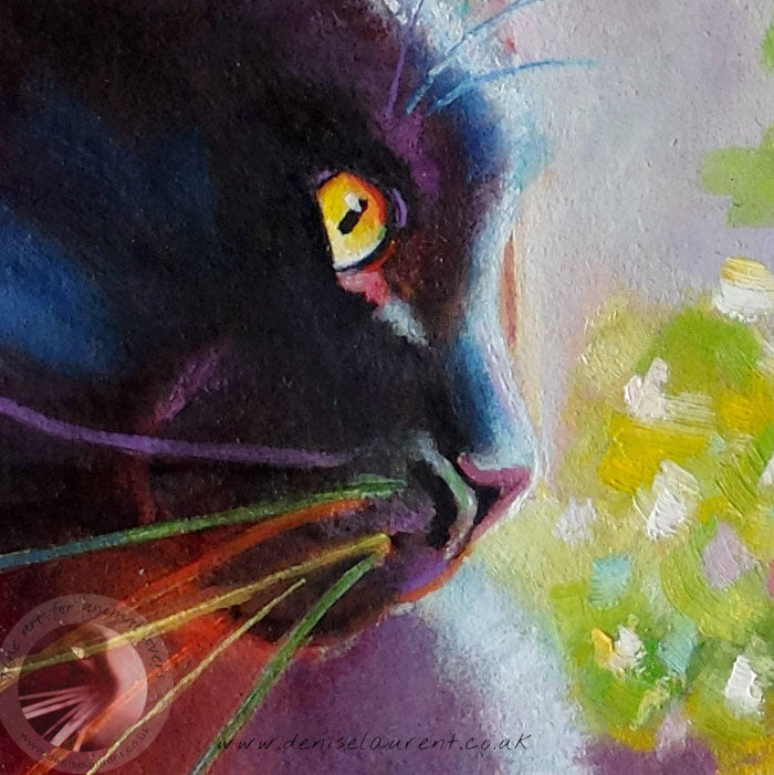 Harry In The Window  - Sold