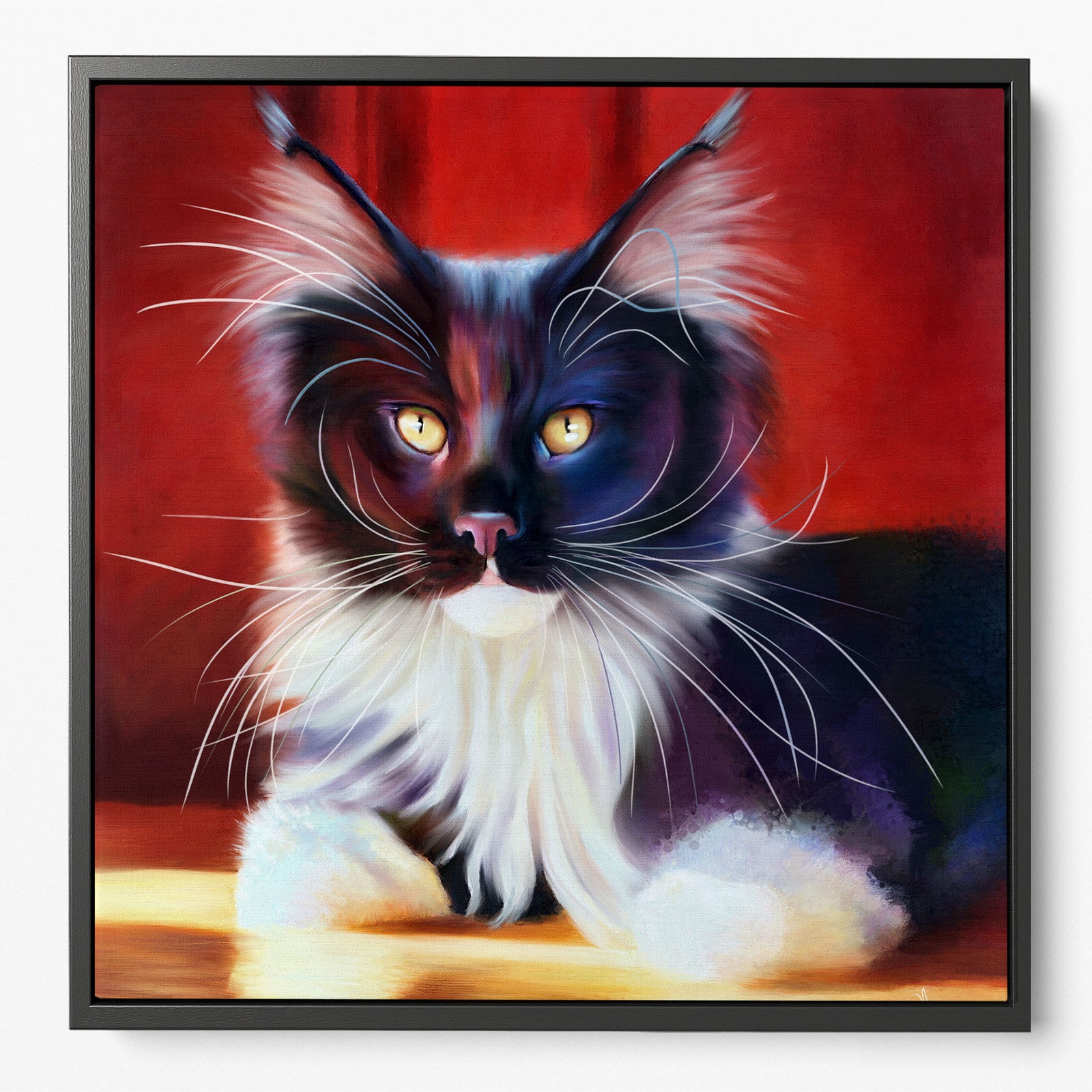 Colourful framed canvas print of a tuxedo Maine Coon cat, against a rich red background, perfect as Maine Coon cat wall art.