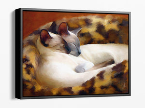 Sleeping Siamese - Siamese Cat Print