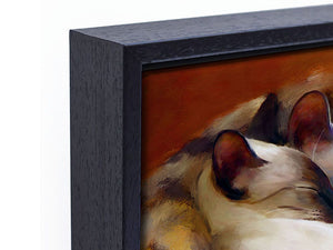 Sleeping Siamese - Framed Canvas Print