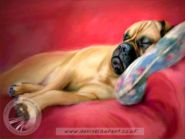 A Quick Nap - Bullmastiff Dog Print
