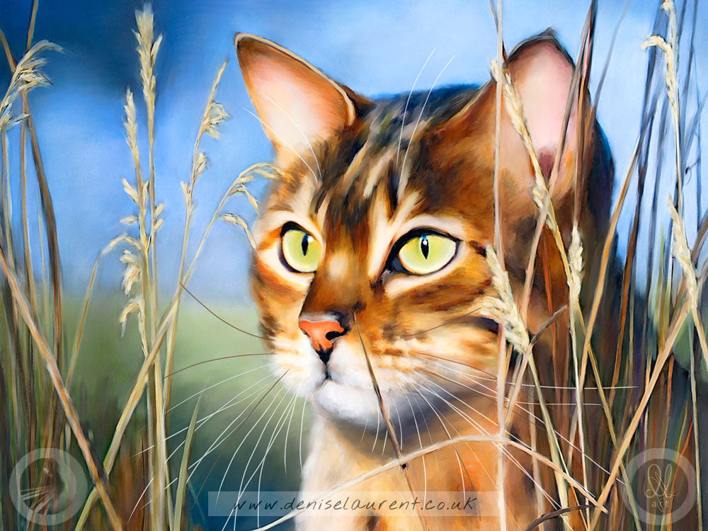 bengal cat in the grass art print