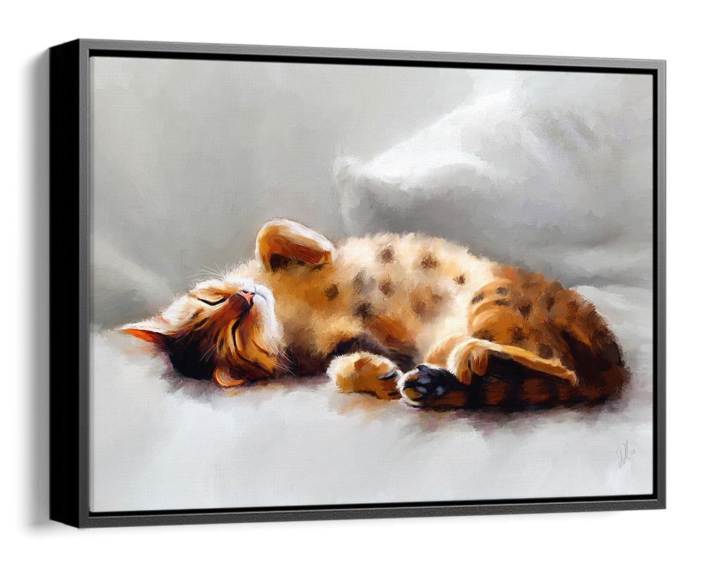 A Bengal cat sleeping peacefully, all curled up on a sofa - Framed Canvas Print.