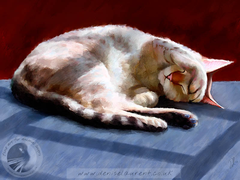 Asleep In The Sun - Bengal Cat Print