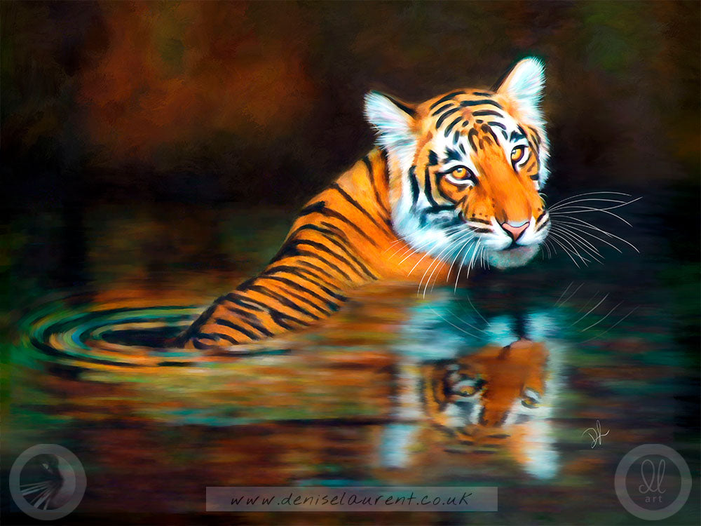 Bathing Tiger - Big Cat Print