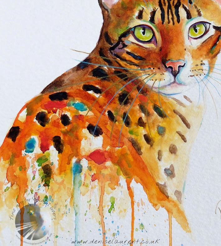 That Bengal Look  - Sold