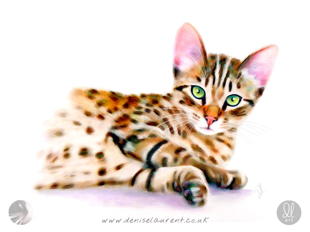 Bengal Kitten - Bengal Cat Art Print