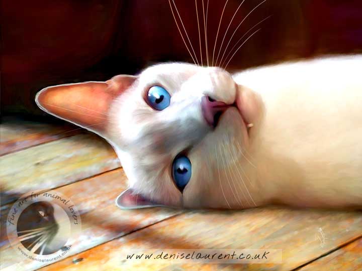 siamese cat lying on the floor art print