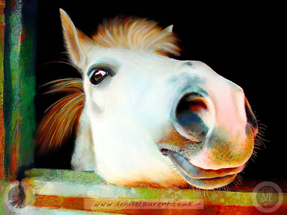 Billy - Pony Art Print