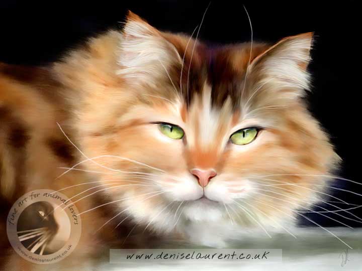 fine art print of a long haired calico cat
