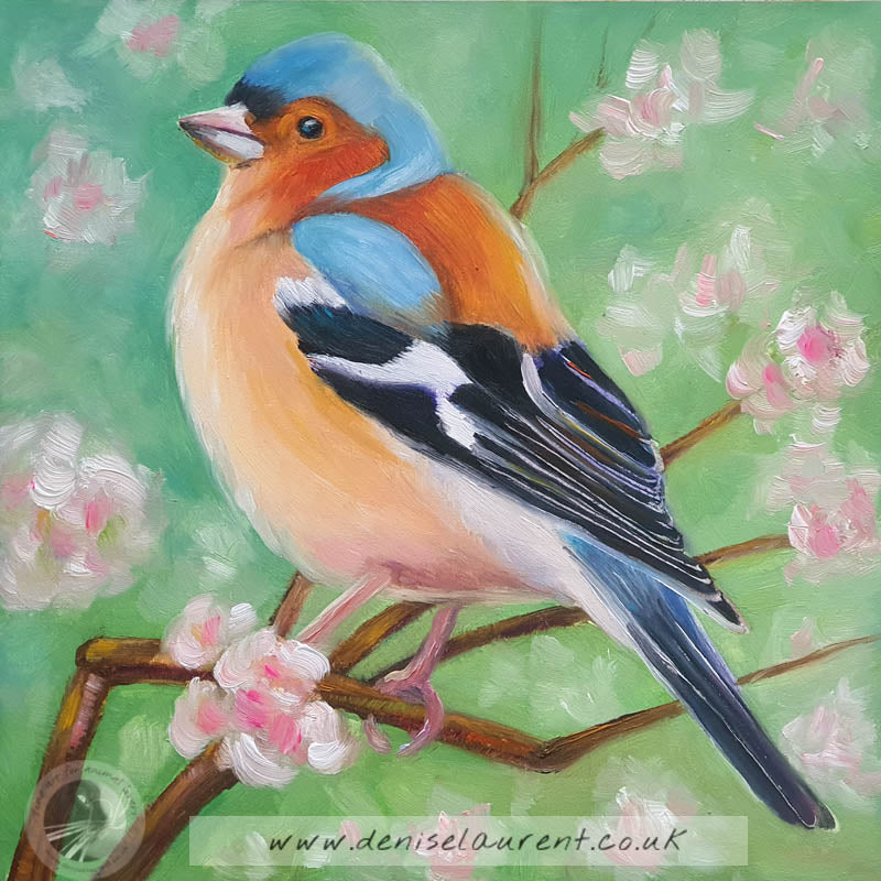 Chaffinch In The Blossom 6x6" Painting