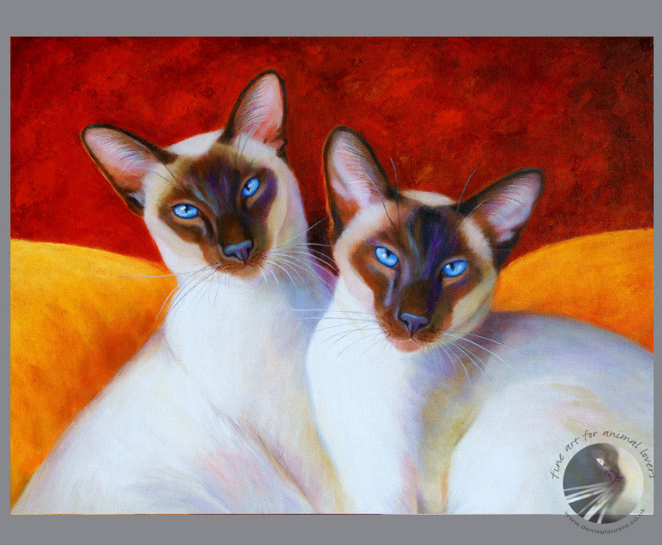 Chocolate Drops  - Sold