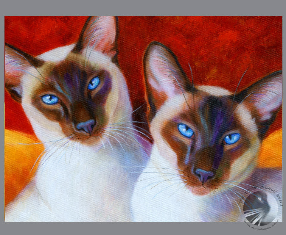 Chocolate Drops  - Sold