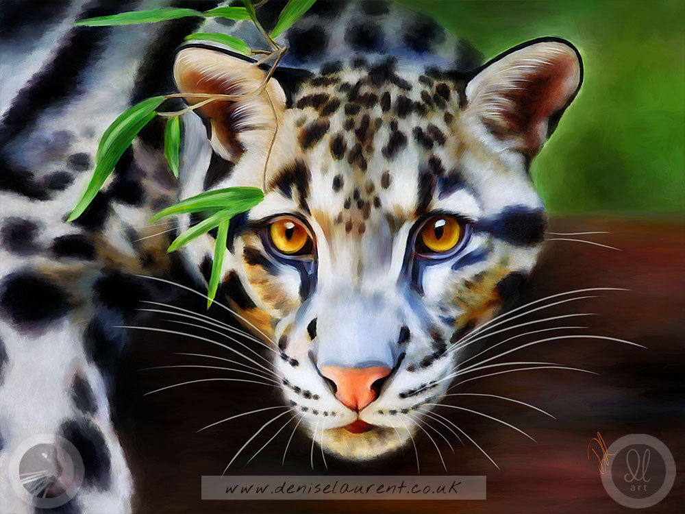 Clouded Leopard - Big Cat Art Print