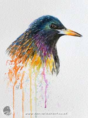 Curious Starling - Sold