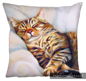 After The Hunt Tabby Cat Cushion