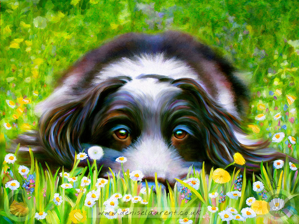 Daisy Daisy - Cocker Spaniel Dog Art Print