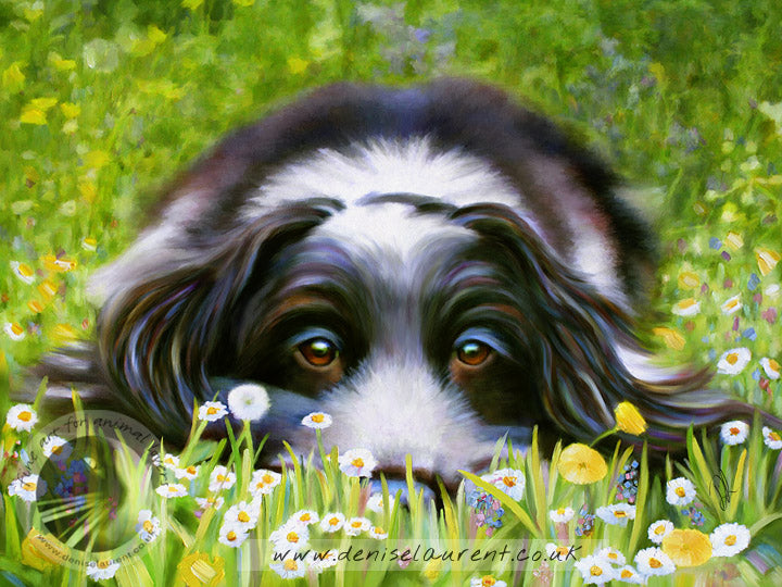 Daisy Daisy - Cocker Spaniel Dog Print