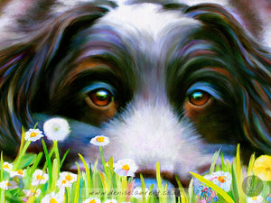 Daisy Daisy - Cocker Spaniel Dog Art Print