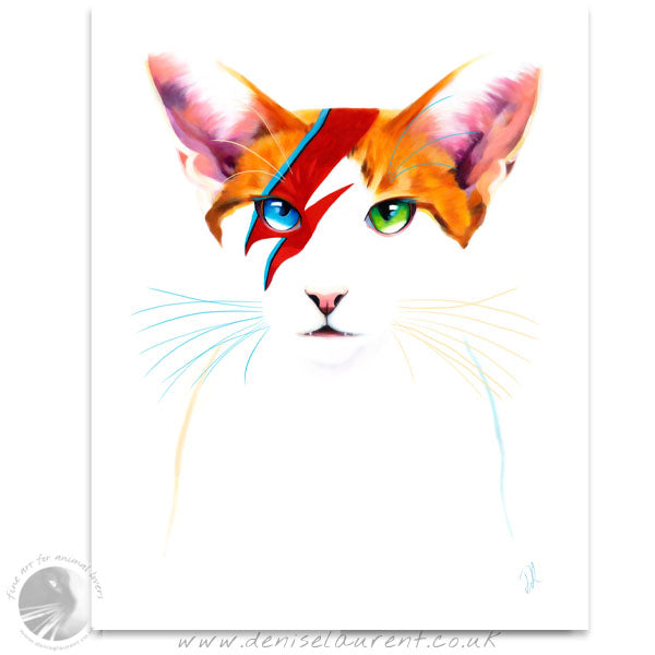 David Meowie - Cat fine Art Print