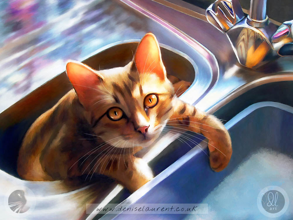 bengal cat in the sink art print