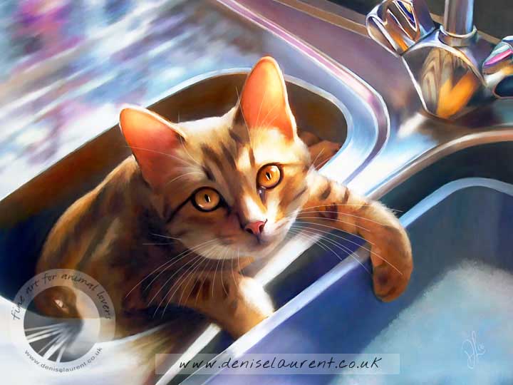 bengal cat in the sink art print