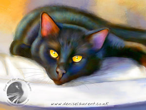 Golden Eyes Black Cat Print