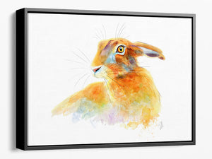 Golden Hare - Framed Canvas Print