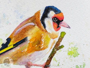 Goldfinch On A Branch - 10x7" watercolour Painting