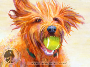 Green Ball - Labradoodle Dog Print