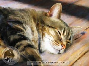 tabby cat asleep on the floor - art print