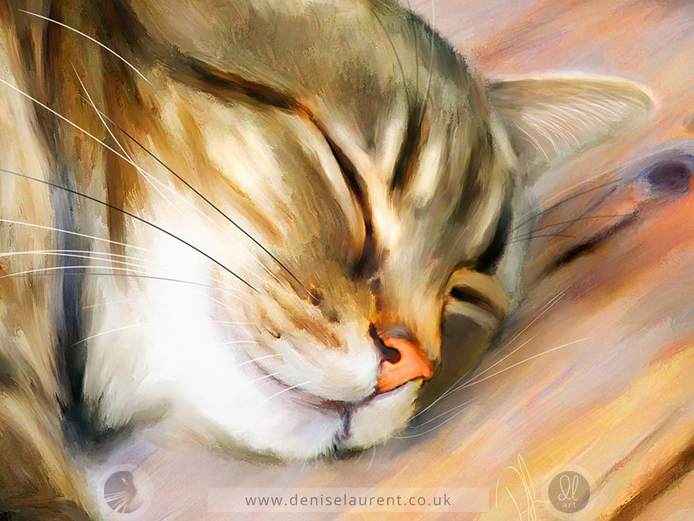 tabby cat asleep on the floor