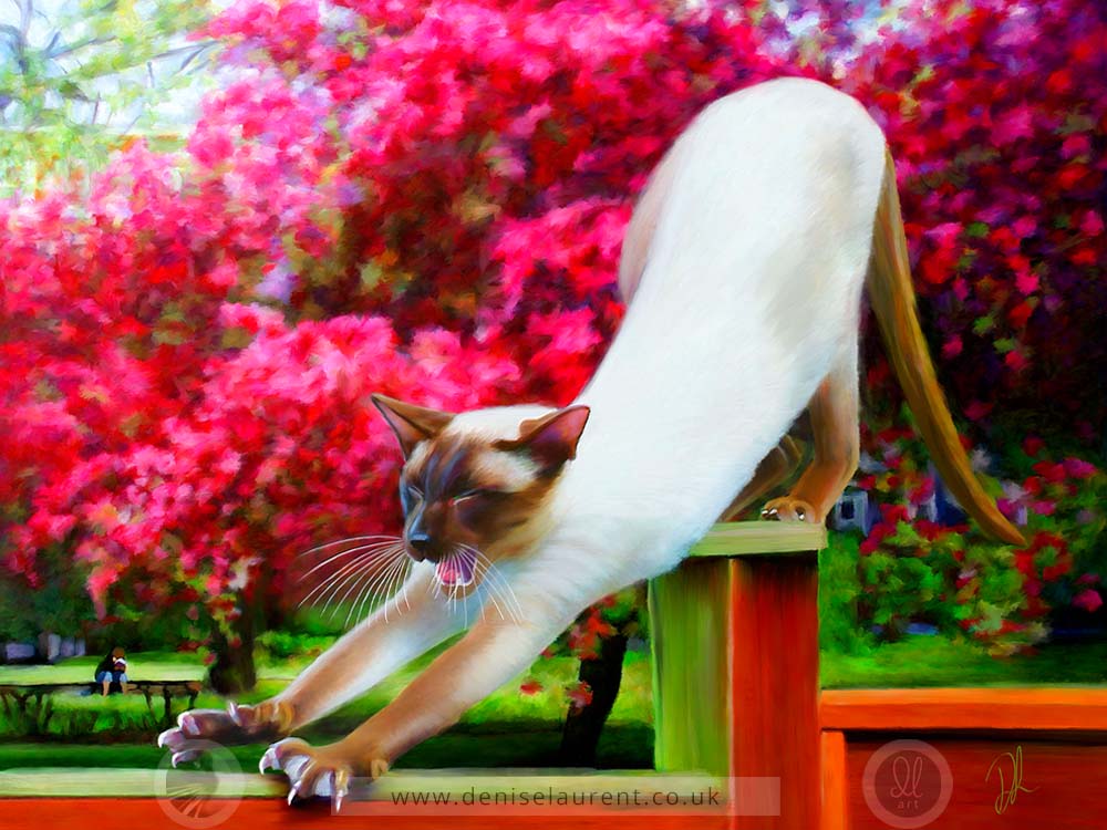 stretching siamese cat art print