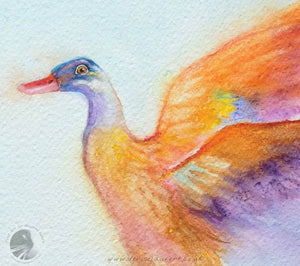 Indian Runner Duck - 15x11" Watercolour Painting