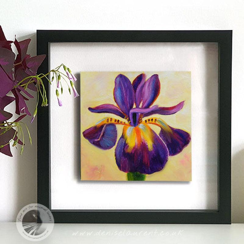 Purple Iris  - Sold