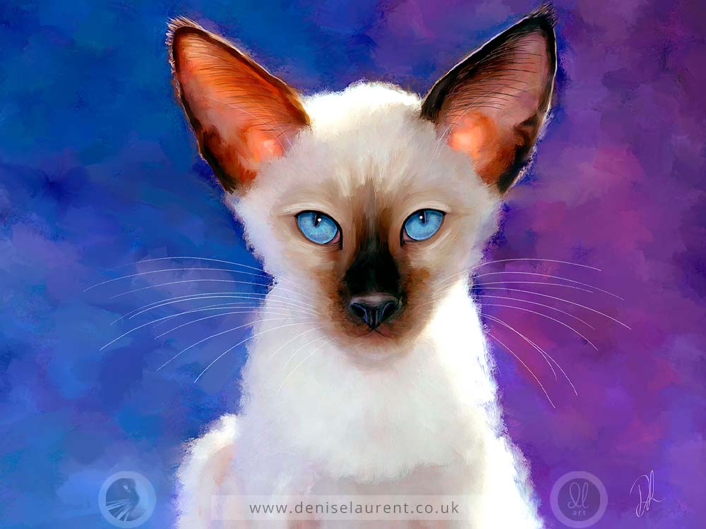 siamese kitten on blue background art print