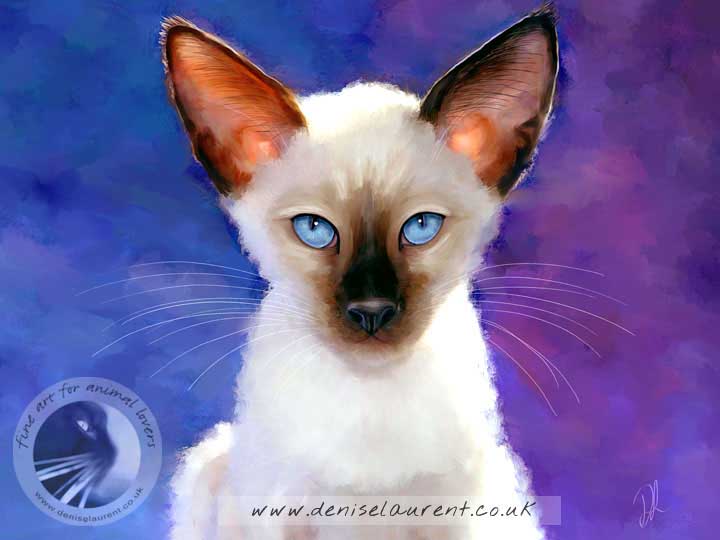 siamese kitten on blue background art print