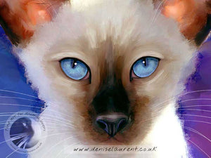 Jewel - Siamese Cat Print