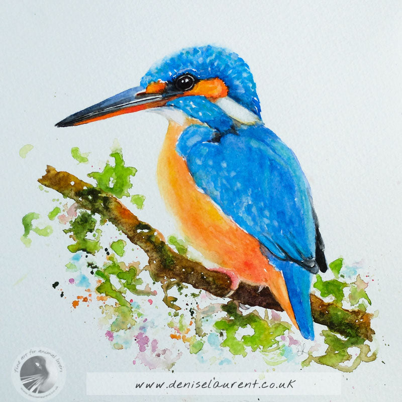 Kingfisher - 10x10" Watercolour Painting