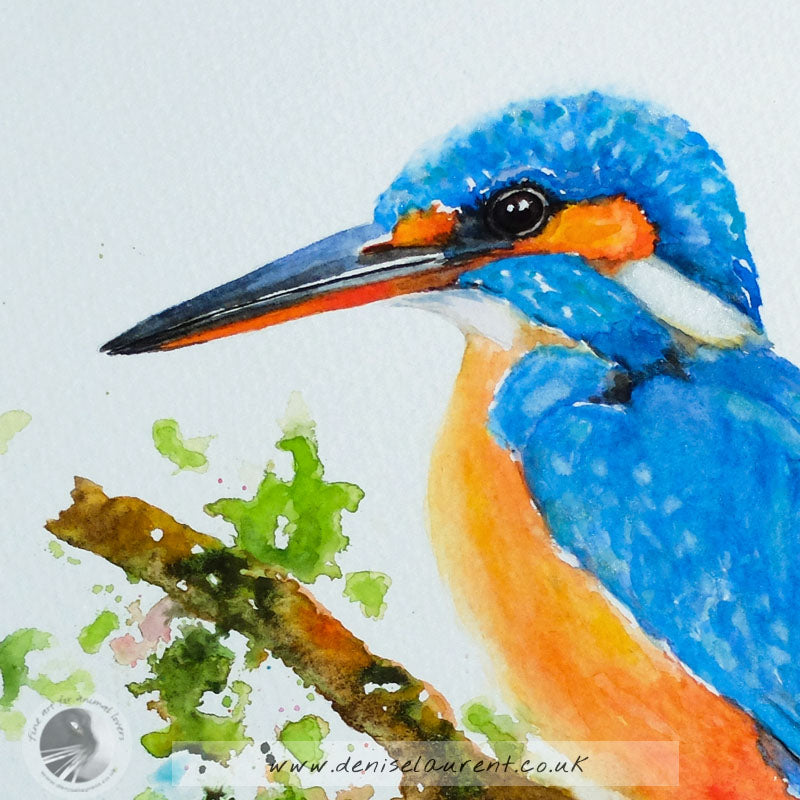 Kingfisher - 10x10" Watercolour Painting