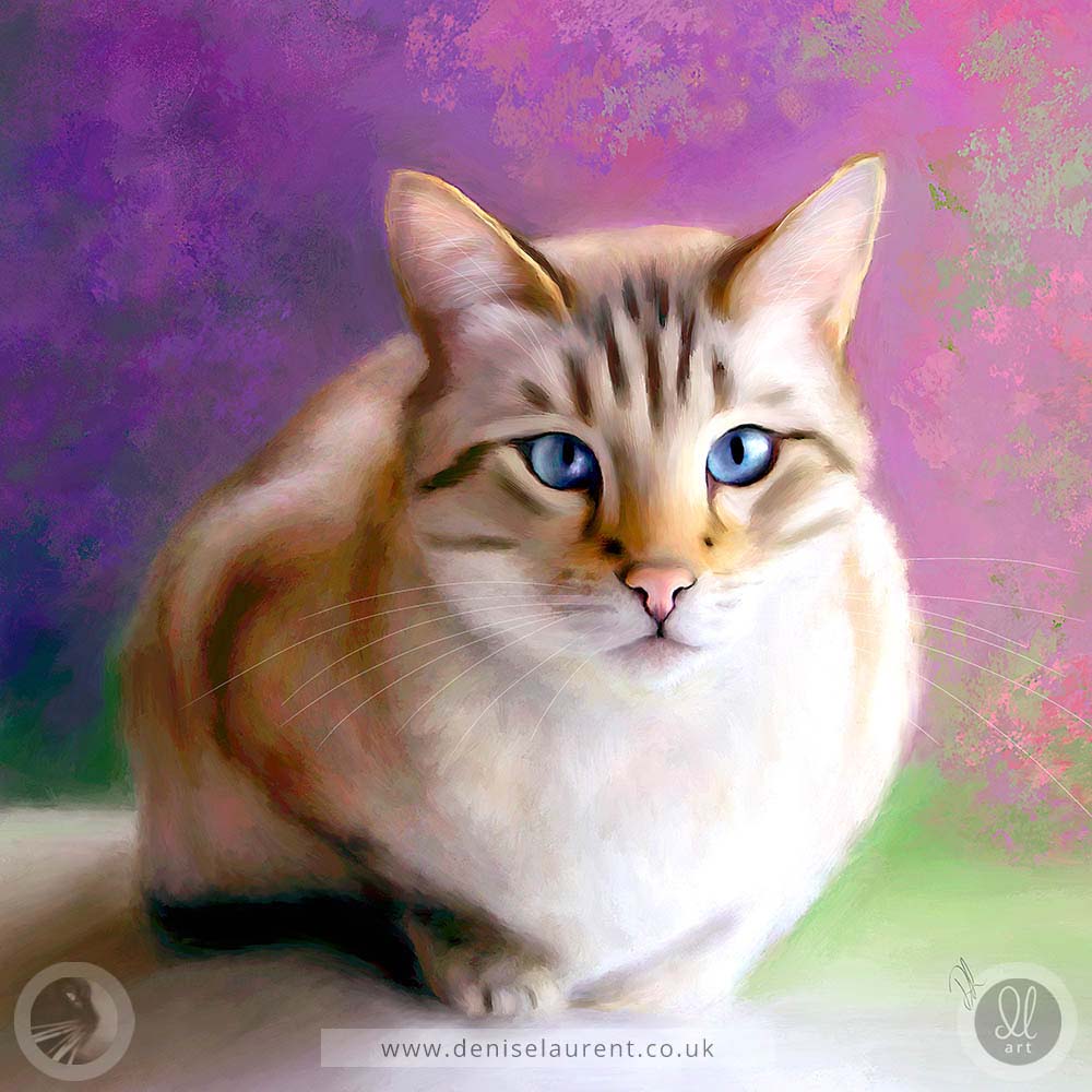 art print of a snow bengal cat with blue eyes