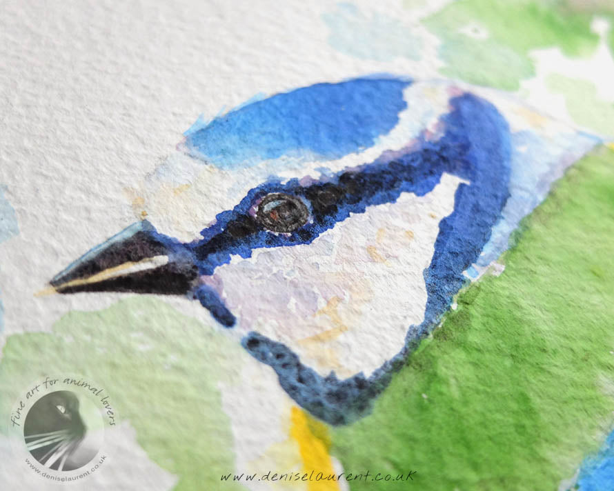Little Blue Tit - 12x9" Watercolour Painting